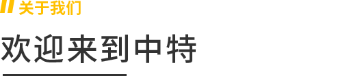 株洲中特钨钼新材料有限公司